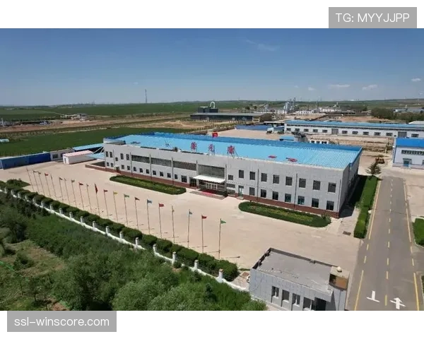 新球场建设通过环保评估，符合可持续发展标准